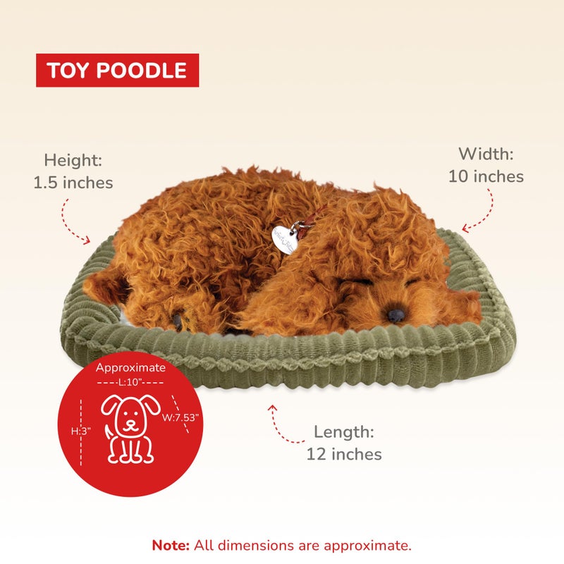 Perfect Petzzz - Poodle, Dog Toys for Kids and Elderly, Realistic Dog Stuffed Animals, Battery-Operated Stuffed Dog, Companion Interactive Pets with Synthetic Fur - Image 3